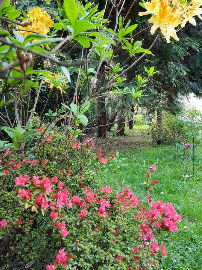 B&B Gloria Gallarate Extérieur photo